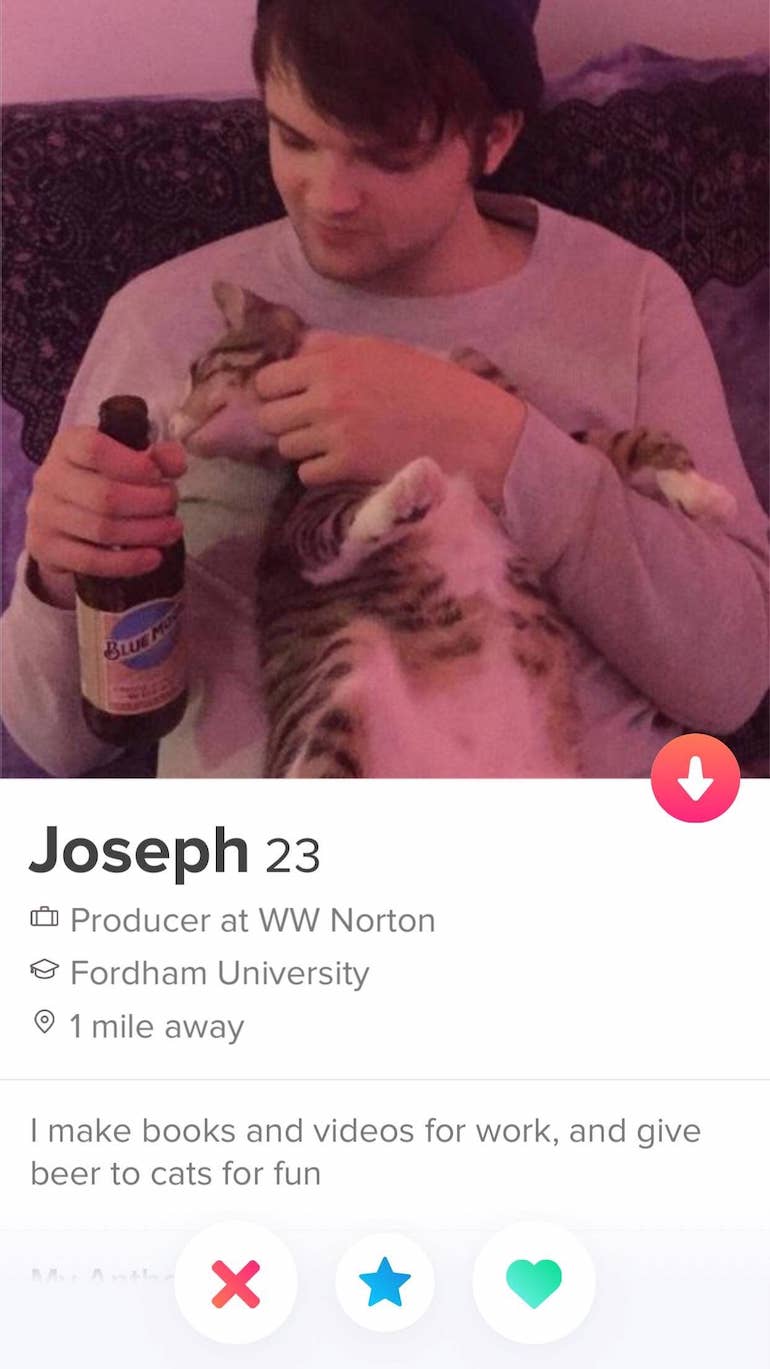 tinder profile example for men